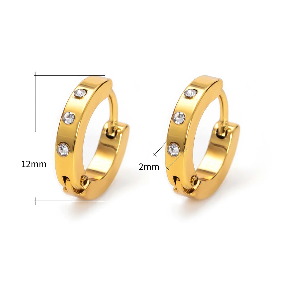 Earrings for Women Men Girls 24 Different Styles White/Colorful Rhinestone Titanium/Stainless Steel Hoop Gold Color Punk Earrings Gifts